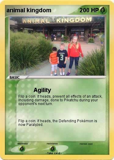 Pokemon animal kingdom