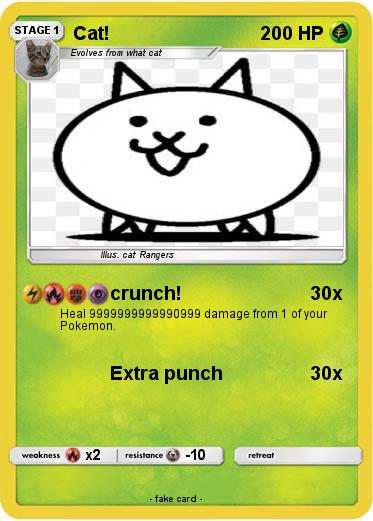 Pokemon Cat!