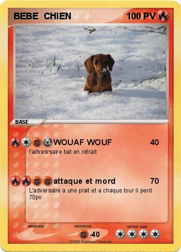 Pokemon BEBE  CHIEN