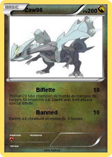 Pokemon Zaw96