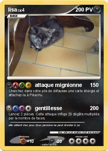 Pokemon lisa