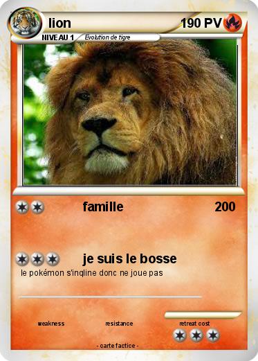 Pokemon lion