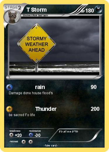 Pokemon T Storm