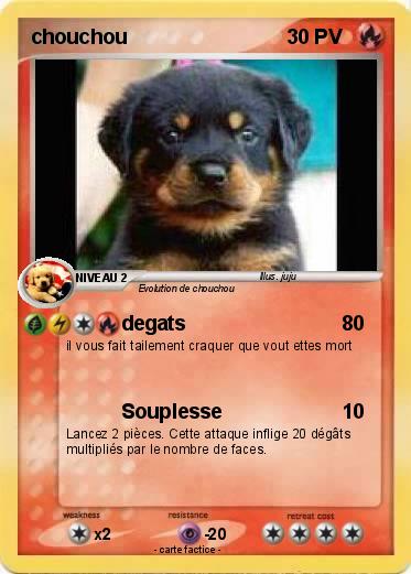 Pokemon chouchou