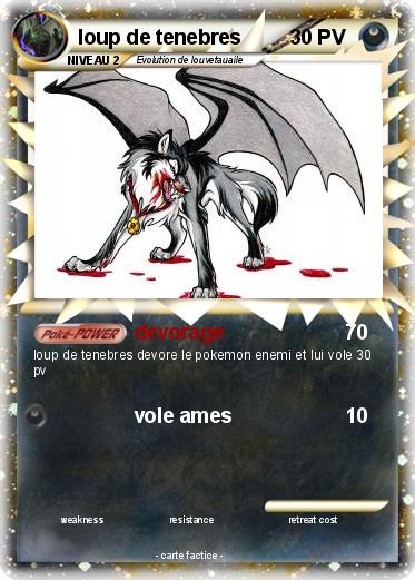 Pokemon loup de tenebres