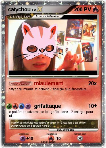 Pokemon catychou