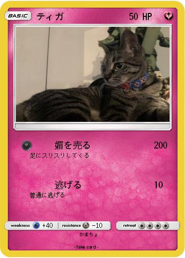 Pokemon ティガ