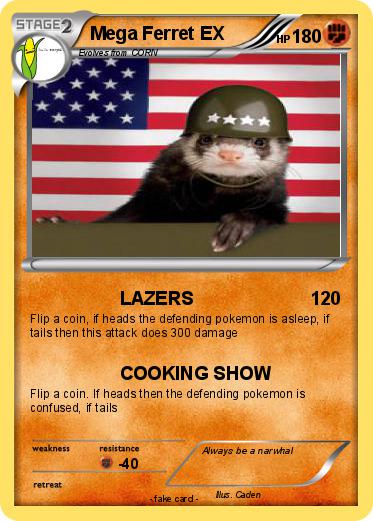 Pokemon Mega Ferret EX