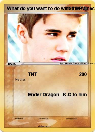 Pokemon What do you want to do with this Minecraft Killer