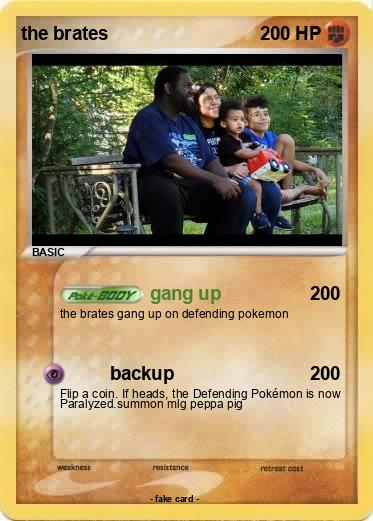 Pokemon the brates