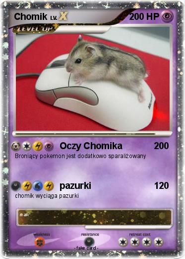 Pokemon Chomik