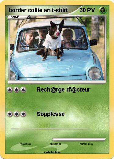 Pokemon border collie en t-shirt