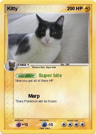 Pokemon Kitty