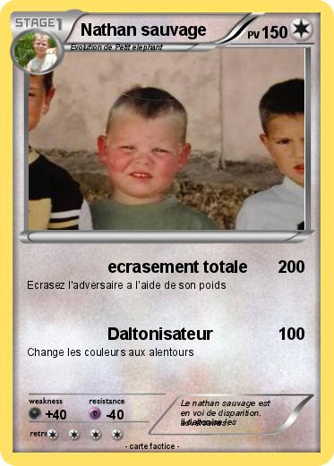 Pokemon Nathan sauvage