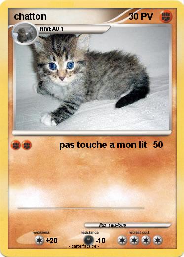 Pokemon chatton
