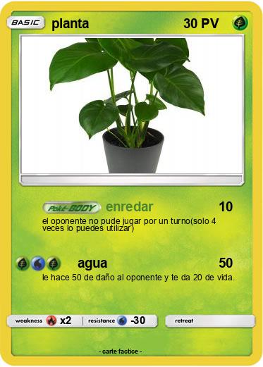 Pokemon planta