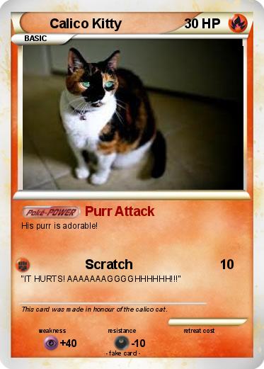 Pokemon Calico Kitty
