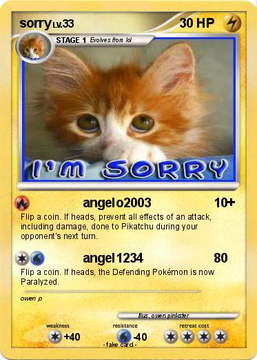Pokemon sorry