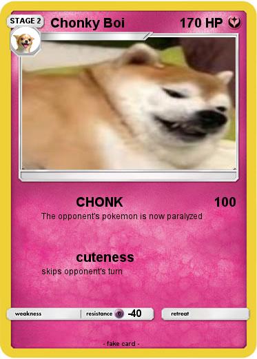 Pokemon Chonky Boi