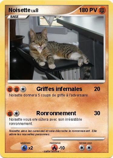 Pokemon Noisette