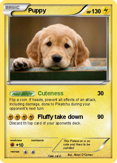 Pokemon Puppy