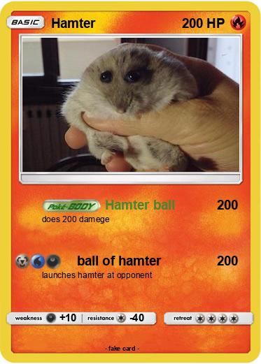 Pokemon Hamter