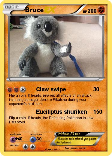 Pokemon Bruce