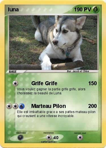 Pokemon luna