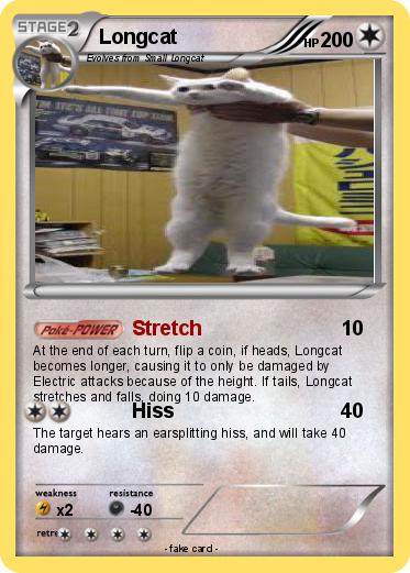 Pokemon Longcat