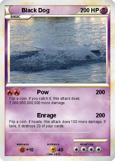 Pokemon Black Dog