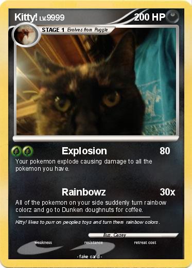 Pokemon Kitty!