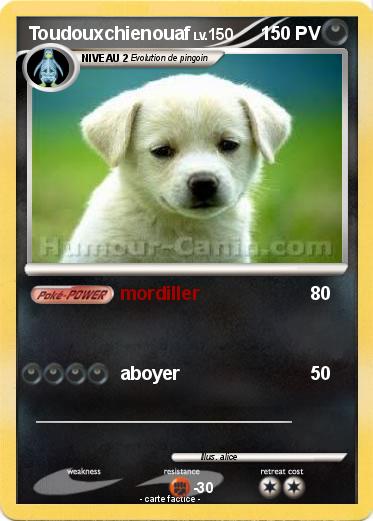 Pokemon Toudouxchienouaf
