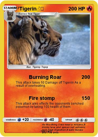 Pokemon Tigerin♂️