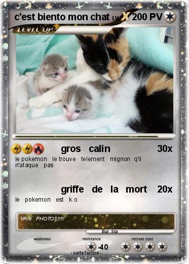 Pokemon c'est biento mon chat