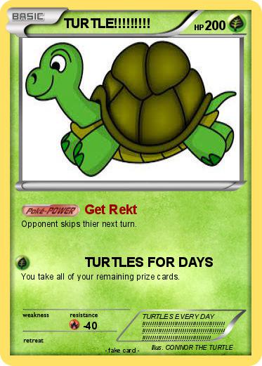 Pokemon TURTLE!!!!!!!!!