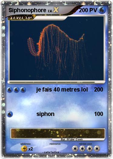 Pokemon Siphonophore