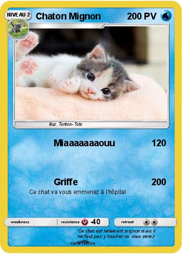 Pokemon Chaton Mignon