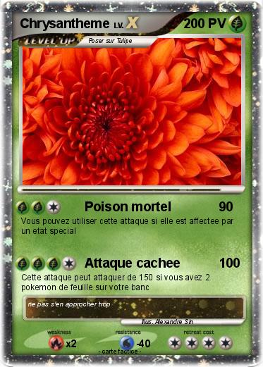 Pokemon Chrysantheme
