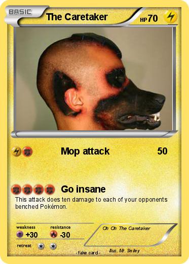 Pokemon The Caretaker