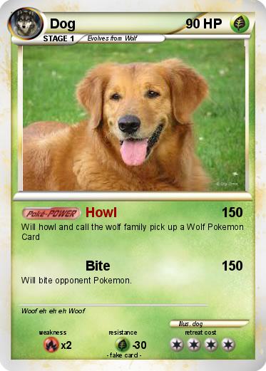 Pokemon Dog