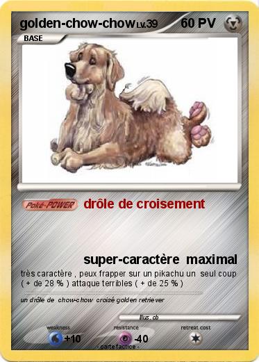 Pokemon golden-chow-chow