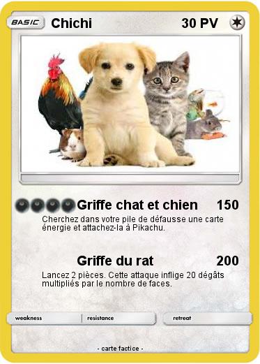 Pokemon Chichi