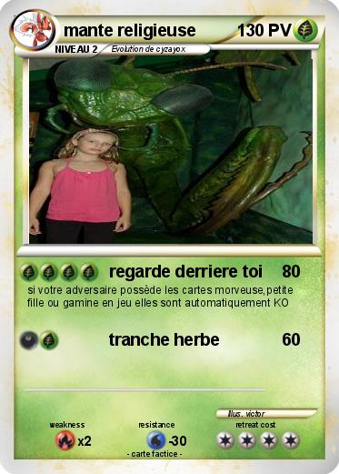 Pokemon mante religieuse