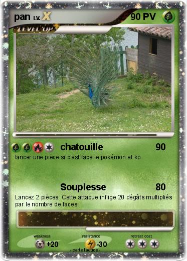 Pokemon pan
