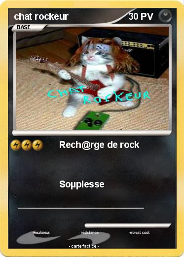 Pokemon chat rockeur