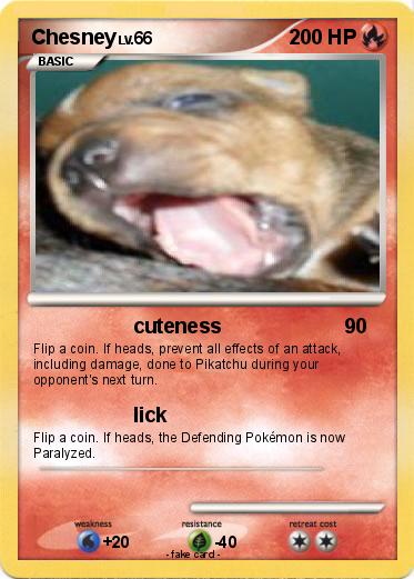 Pokemon Chesney