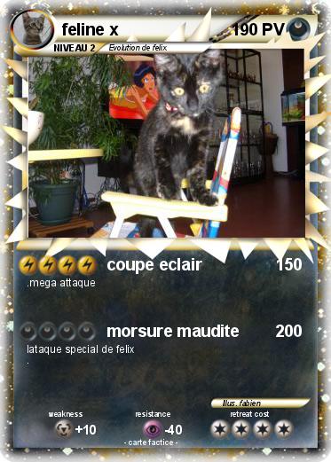 Pokemon feline x