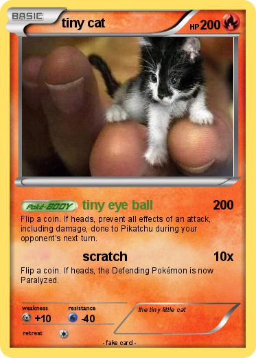 Pokemon tiny cat
