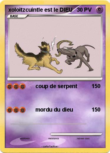 Pokemon xoloitzcuintle est le DIEU