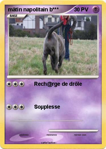 Pokemon mâtin napolitain b***